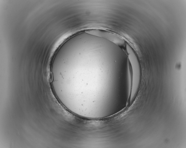 X0000089961188200707201941