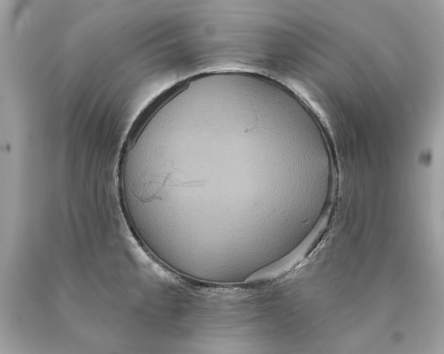 X0000089961189200707201941