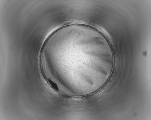 X0000089961190200707201941