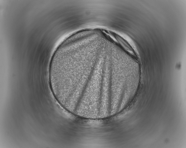 X0000089961191200707201941