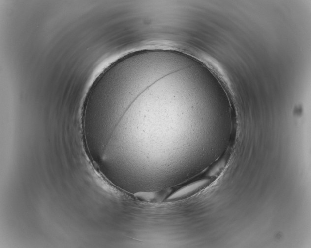 X0000089961192200707201941