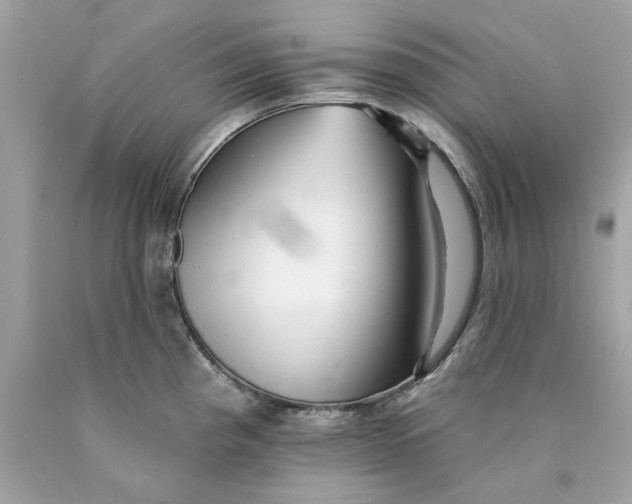 X0000089961193200707201941