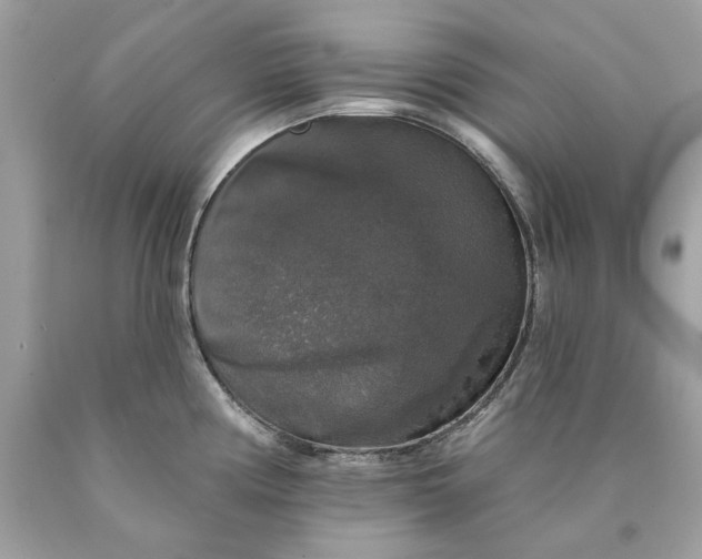 X0000089961194200707201941