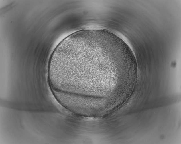 X0000089961195200707201941