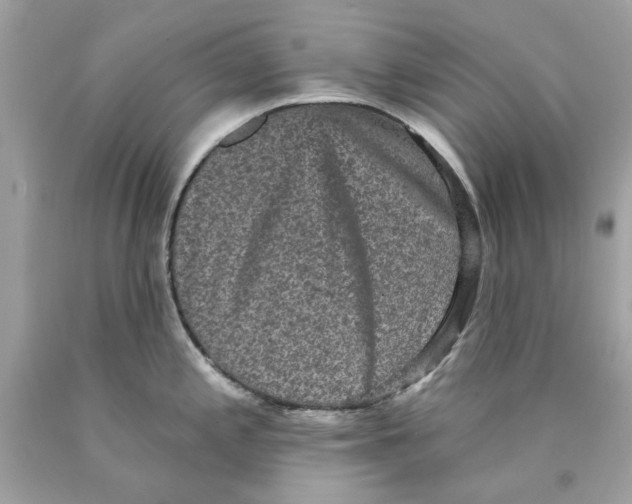 X0000089961197200707201941