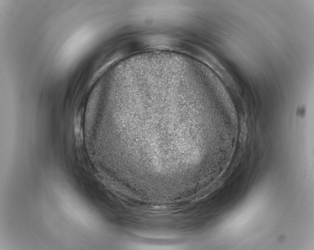 X0000089961198200707201941