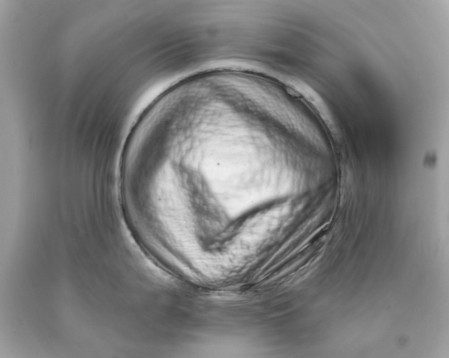 X0000089961199200707201941