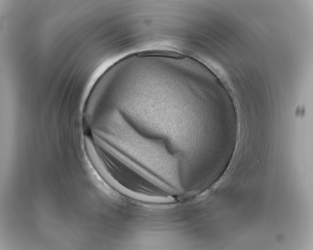 X0000089961200200707201941