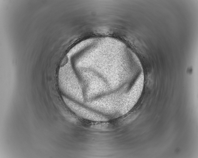 X0000089961201200707201940