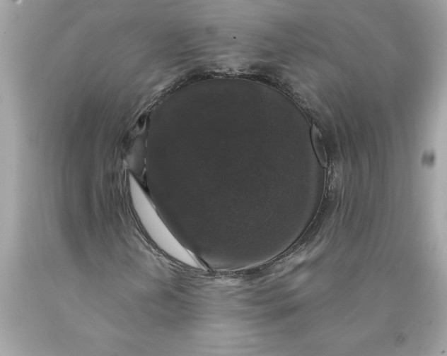 X0000089961202200707201940