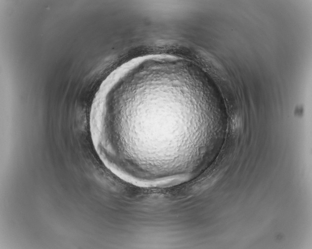 X0000089961204200707201940