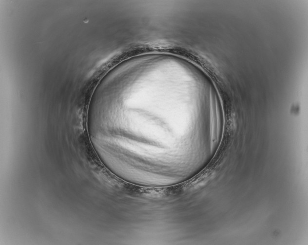 X0000089961205200707201940