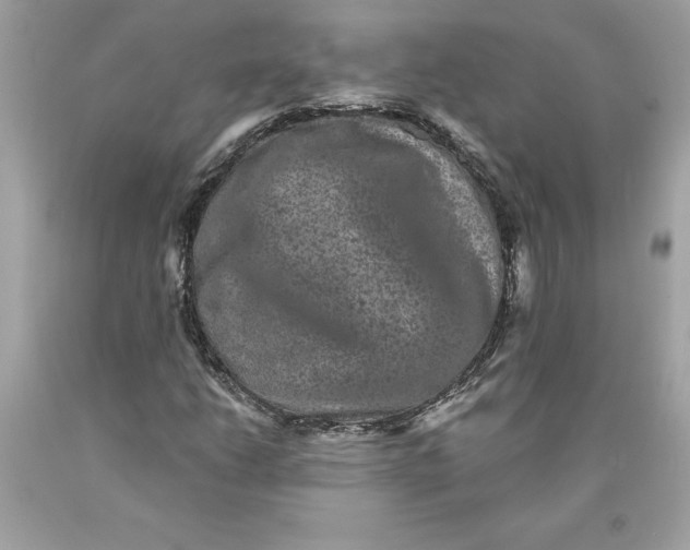 X0000089961206200707201940