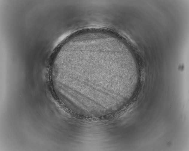 X0000089961208200707201940