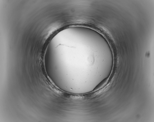 X0000089961210200707201940