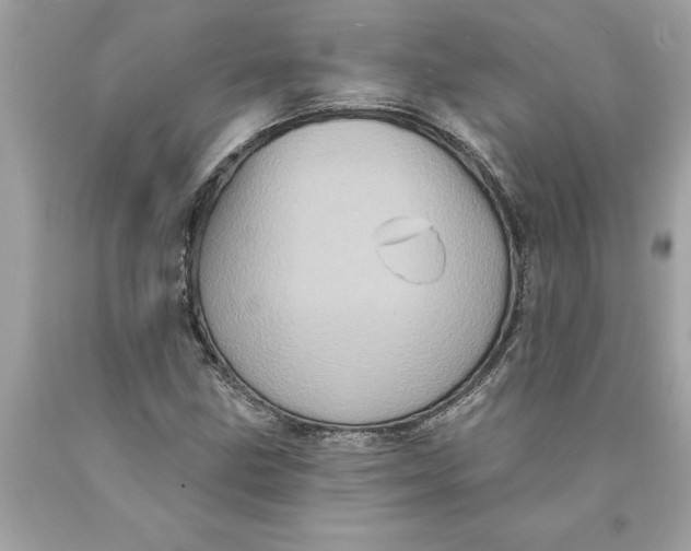 X0000089961211200707201940