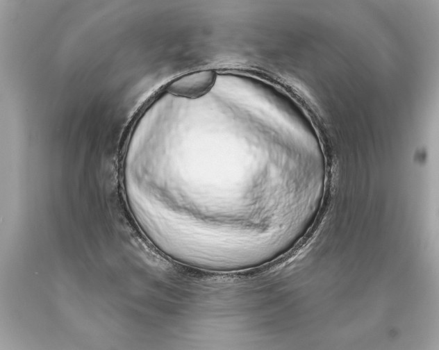 X0000089961212200707201940