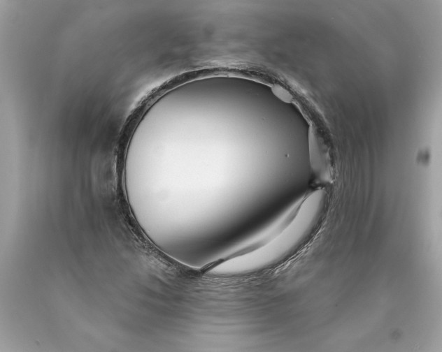 X0000089961214200707201940