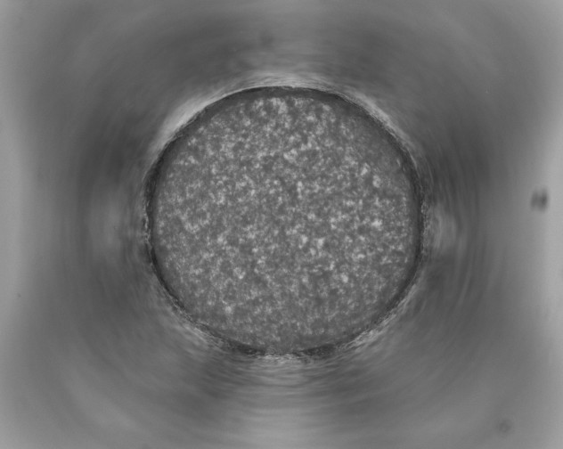 X0000089961215200707201940