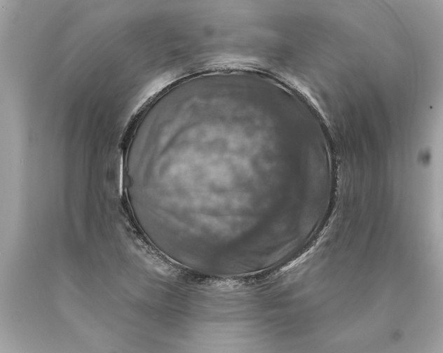 X0000089961219200707201941