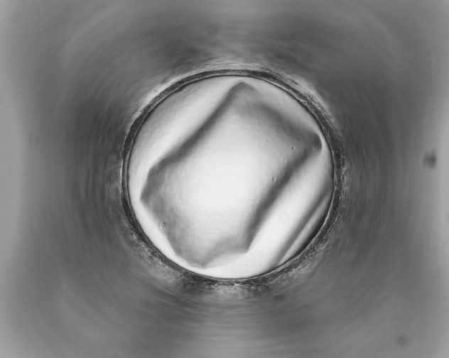 X0000089961220200707201941