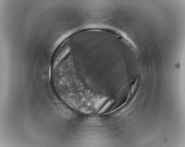 X0000089961221200707201941