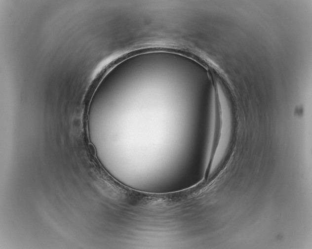 X0000089961222200707201941