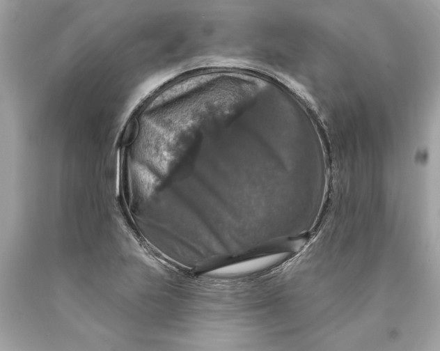 X0000089961223200707201941