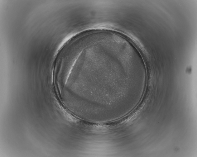 X0000089961224200707201941