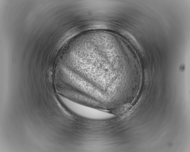 X0000089961225200707201941