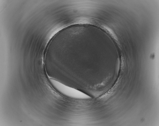 X0000089961226200707201941