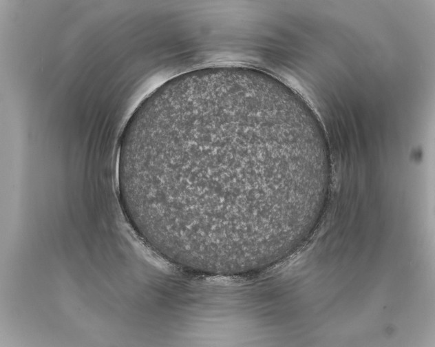 X0000089961227200707201941