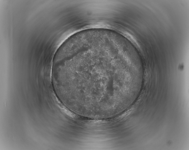 X0000089961228200707201941