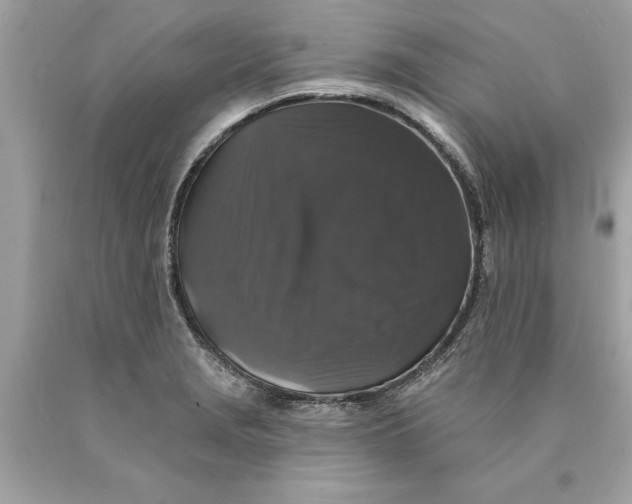 X0000089961229200707201941