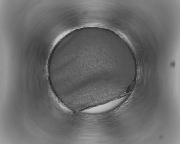 X0000089961230200707201941