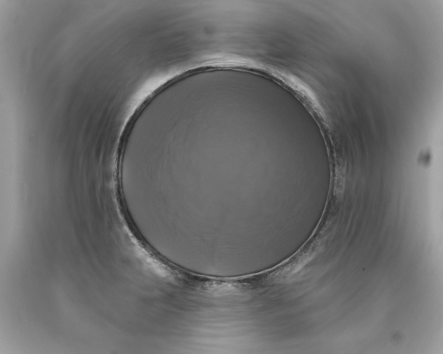 X0000089961231200707201941