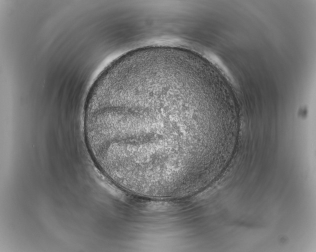 X0000089961232200707201941