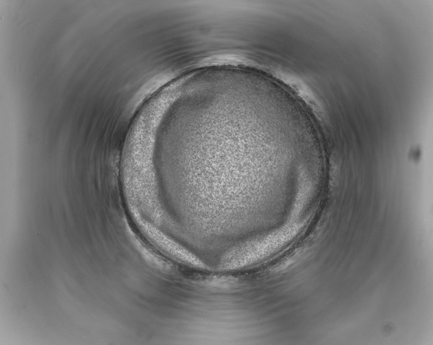 X0000089961233200707201941