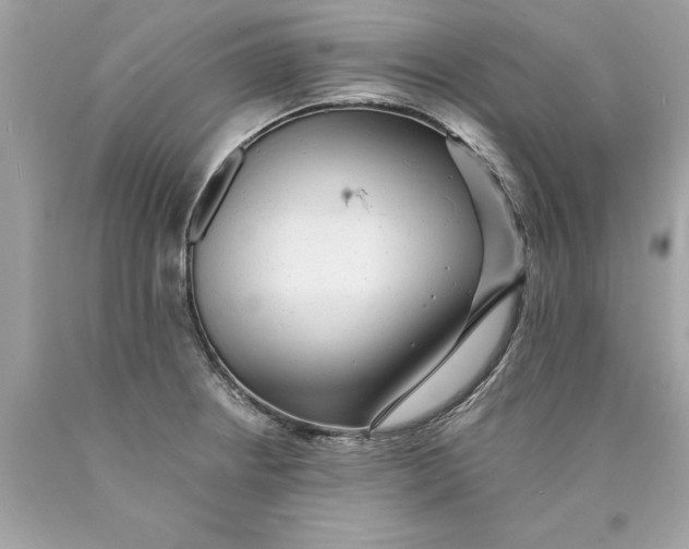 X0000089961234200707201941