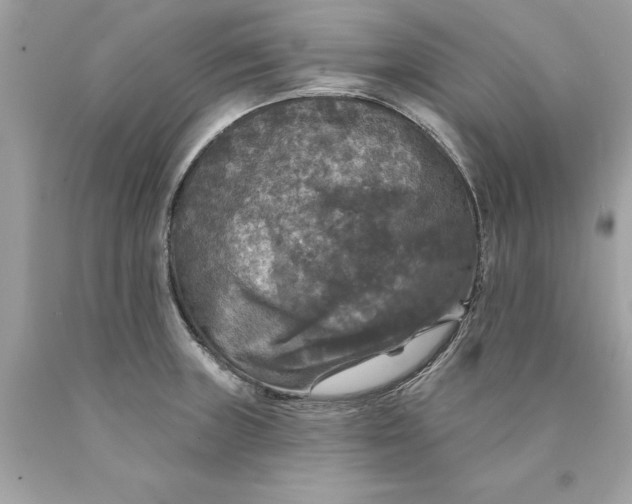 X0000089961235200707201941