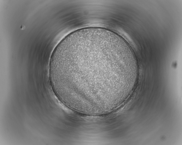 X0000089961236200707201941