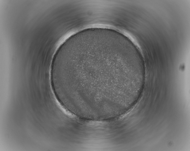 X0000089961237200707201941