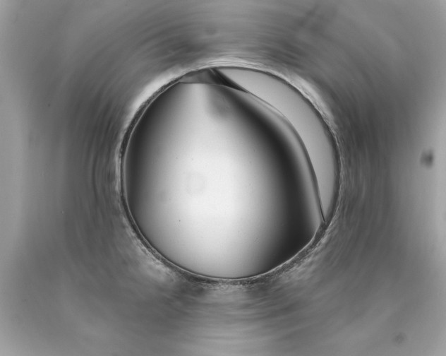 X0000089961238200707201941