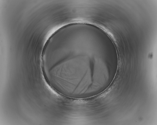 X0000089961239200707201941