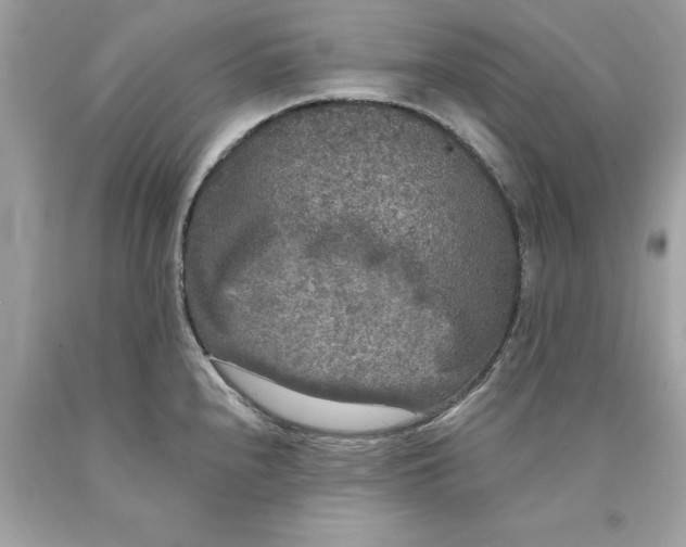 X0000089961240200707201941