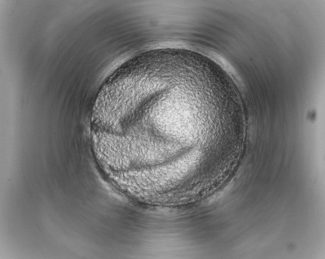 X0000089961241200707201941