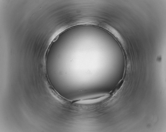 X0000089961242200707201941