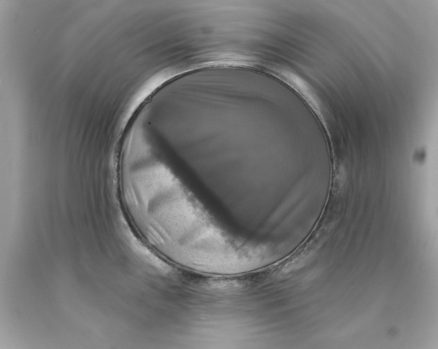 X0000089961243200707201941