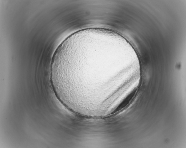 X0000089961244200707201941