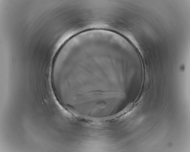 X0000089961245200707201941